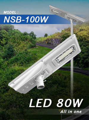 NSB-100W