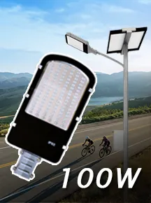 NSS-100W