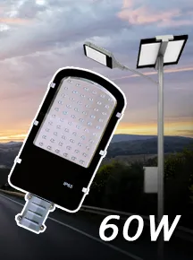 NSS-60W